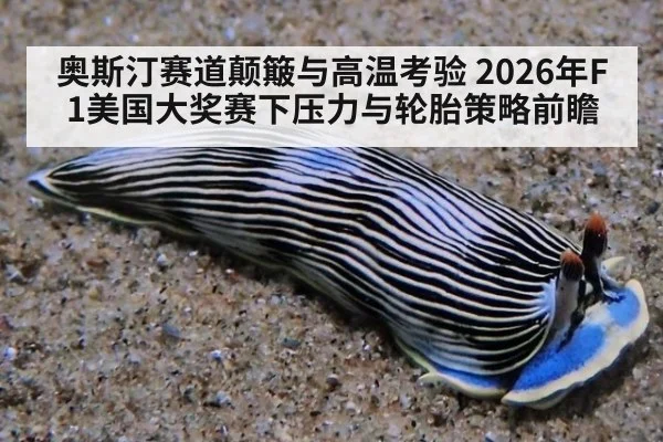 奥斯汀赛道颠簸与高温考验 2026年F1美国大奖赛下压力与轮胎策略前瞻（jiuyou）